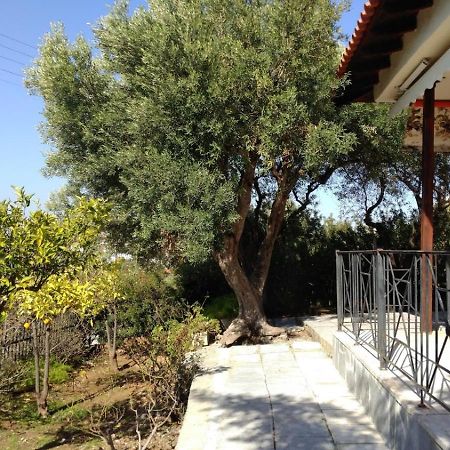 Gerakina Beach Cottage Psakoudia Ngoại thất bức ảnh