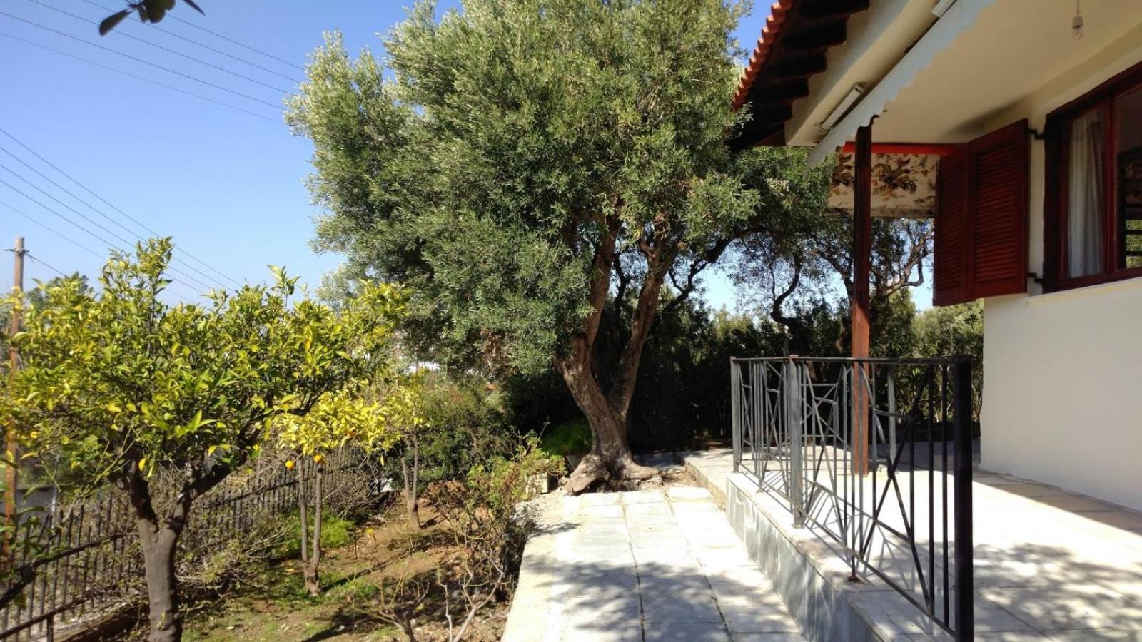 Gerakina Beach Cottage Psakoudia Ngoại thất bức ảnh